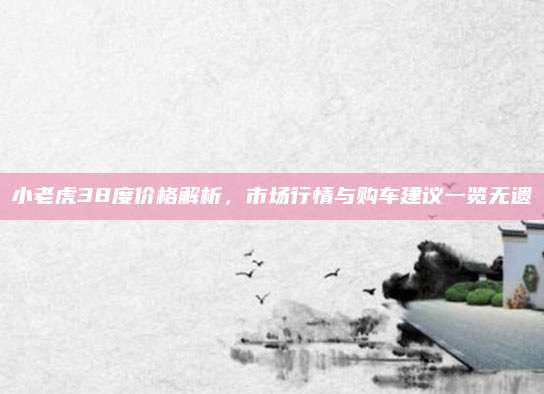小老虎38度价格解析，市场行情与购车建议一览无遗
