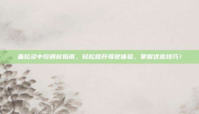 盖拉多中控调校指南,轻松提升驾驶体验,掌握这些技巧!