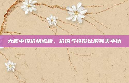天籁中控价格解析,价值与性价比的完美平衡