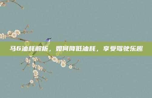 马6油耗解析,如何降低油耗,享受驾驶乐趣
