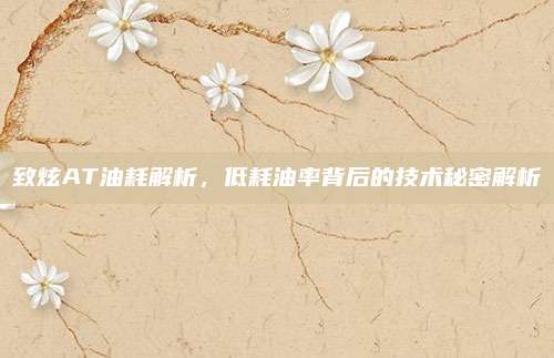 致炫AT油耗解析,低耗油率背后的技术秘密解析