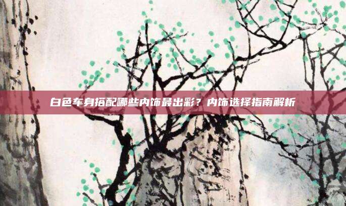 白色车身搭配哪些内饰最出彩?内饰选择指南解析