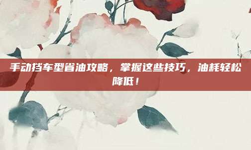 手动挡车型省油攻略，掌握这些技巧，油耗轻松降低！