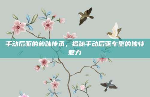 手动后驱的韵味传承，揭秘手动后驱车型的独特魅力