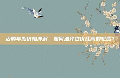 迈腾车胎价格详解,如何选择性价比高的轮胎?