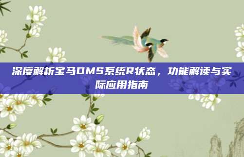 深度解析宝马DMS系统R状态，功能解读与实际应用指南