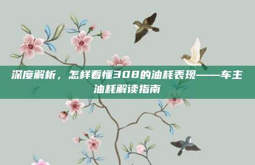 深度解析,怎样看懂308的油耗表现——车主油耗解读指南
