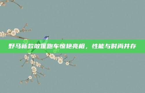 野马新款敞篷跑车惊艳亮相,性能与时尚并存