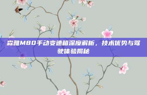 森雅M80手动变速箱深度解析,技术优势与驾驶体验揭秘