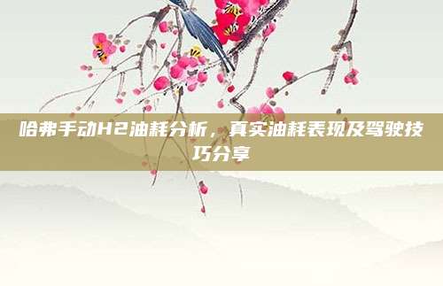 哈弗手动H2油耗分析,真实油耗表现及驾驶技巧分享