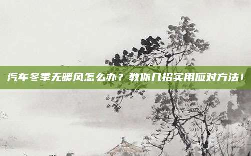 汽车冬季无暖风怎么办?教你几招实用应对方法!