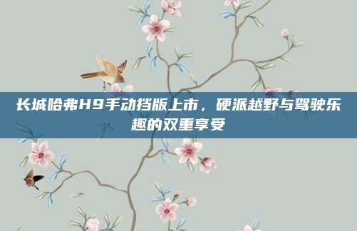 长城哈弗H9手动挡版上市,硬派越野与驾驶乐趣的双重享受
