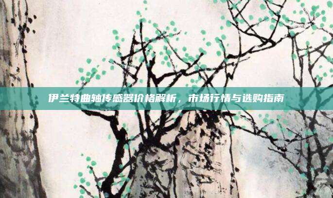 伊兰特曲轴传感器价格解析,市场行情与选购指南
