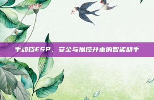 手动挡ESP,安全与操控并重的智能助手