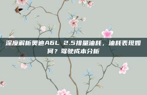 深度解析奥迪A6L 2.5排量油耗,油耗表现如何?驾驶成本分析