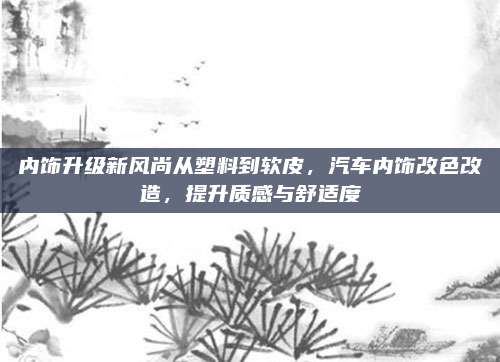 内饰升级新风尚从塑料到软皮,汽车内饰改色改造,提升质感与舒适度