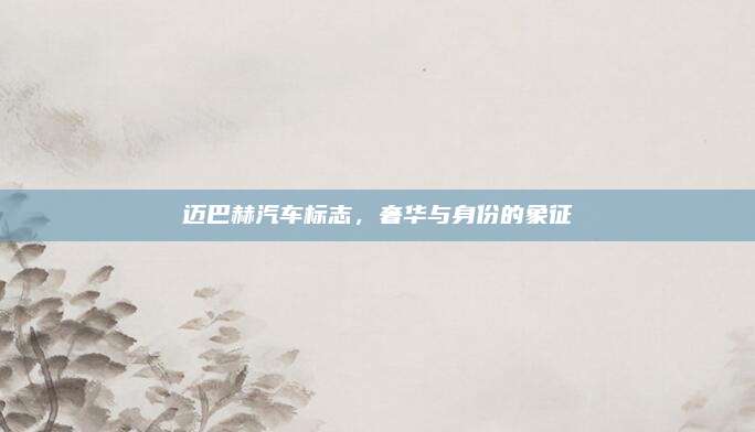 迈巴赫汽车标志,奢华与身份的象征