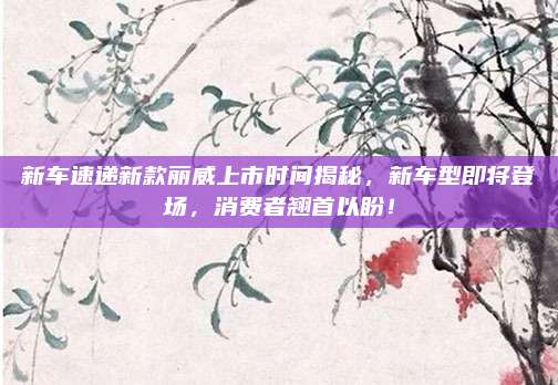 新车速递新款丽威上市时间揭秘,新车型即将登场,消费者翘首以盼!