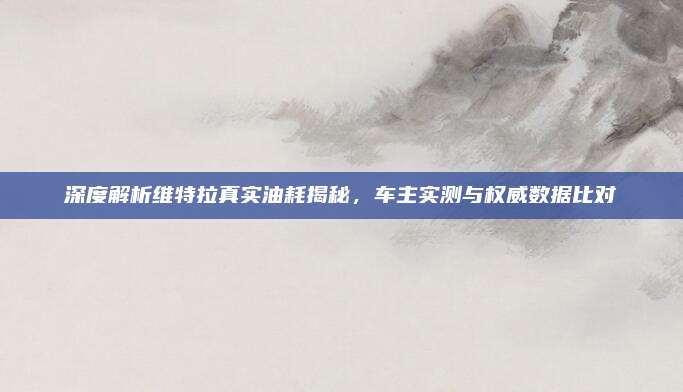 深度解析维特拉真实油耗揭秘,车主实测与权威数据比对