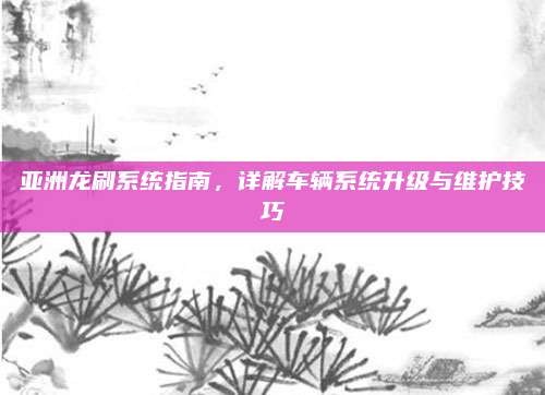 亚洲龙刷系统指南,详解车辆系统升级与维护技巧
