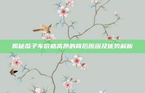 揭秘瓜子车价格高昂的背后原因及优势解析