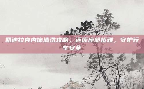 凯迪拉克内饰清洗攻略,还原座舱优雅,守护行车安全
