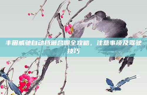 丰田威驰自动挡磨合期全攻略,注意事项及驾驶技巧
