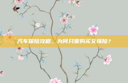 汽车保险攻略,为何只需购买交强险?