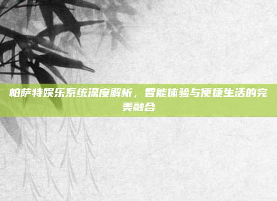 帕萨特娱乐系统深度解析,智能体验与便捷生活的完美融合