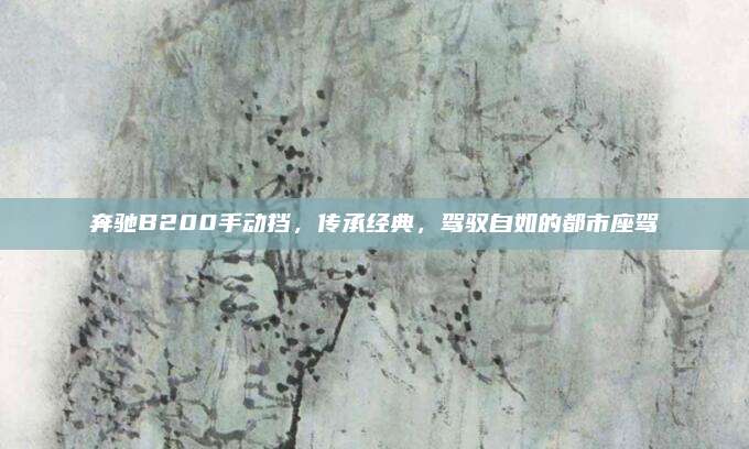 奔驰B200手动挡,传承经典,驾驭自如的都市座驾