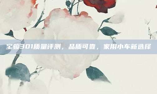 宝骏301质量评测,品质可靠,家用小车新选择