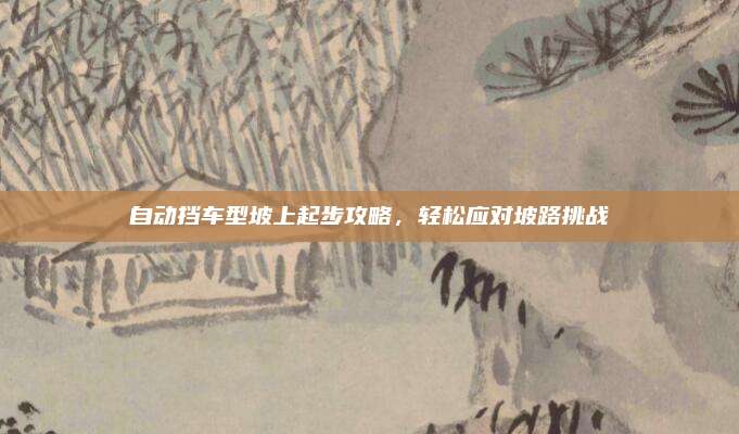 自动挡车型坡上起步攻略,轻松应对坡路挑战