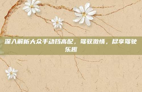 深入解析大众手动挡高配,驾驭激情,尽享驾驶乐趣