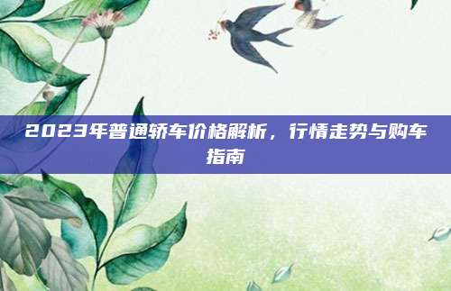 2023年普通轿车价格解析,行情走势与购车指南