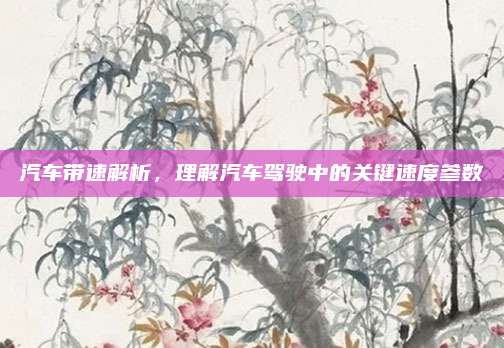 汽车带速解析,理解汽车驾驶中的关键速度参数