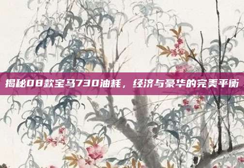 揭秘08款宝马730油耗,经济与豪华的完美平衡