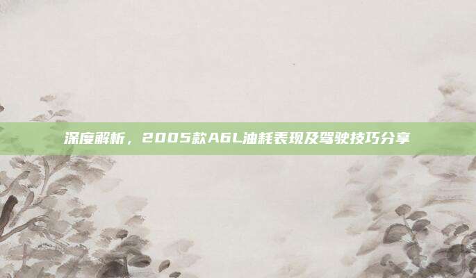 深度解析,2005款A6L油耗表现及驾驶技巧分享