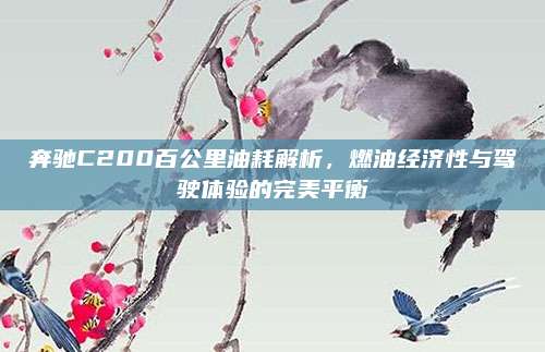 奔驰C200百公里油耗解析,燃油经济性与驾驶体验的完美平衡