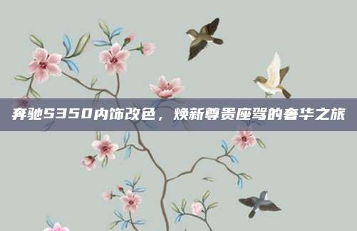 奔驰S350内饰改色,焕新尊贵座驾的奢华之旅
