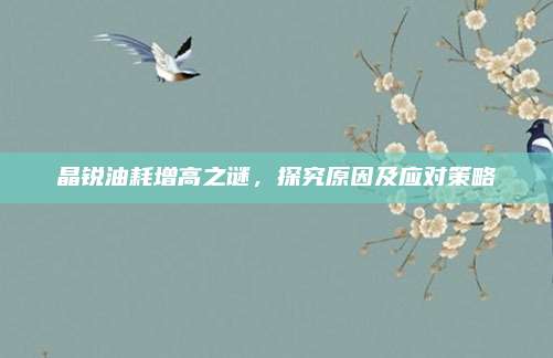 晶锐油耗增高之谜,探究原因及应对策略