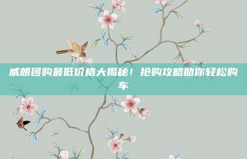 威朗团购最低价格大揭秘!抢购攻略助你轻松购车