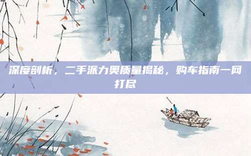 深度剖析,二手派力奥质量揭秘,购车指南一网打尽