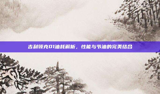 吉利领克01油耗解析,性能与节油的完美结合