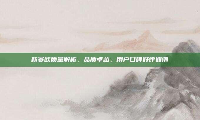 新赛欧质量解析,品质卓越,用户口碑好评如潮