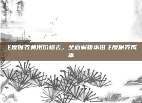 飞度保养费用价格表,全面解析本田飞度保养成本