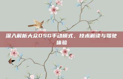 深入解析大众DSG手动模式,技术解读与驾驶体验