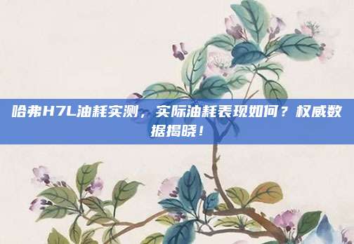 哈弗H7L油耗实测，实际油耗表现如何？权威数据揭晓！
