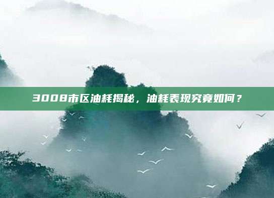 3008市区油耗揭秘,油耗表现究竟如何?