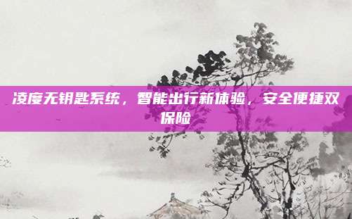 凌度无钥匙系统,智能出行新体验,安全便捷双保险