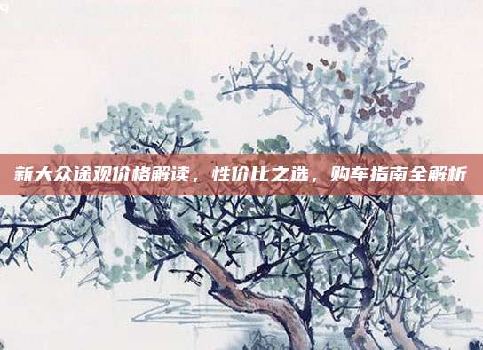 新大众途观价格解读,性价比之选,购车指南全解析